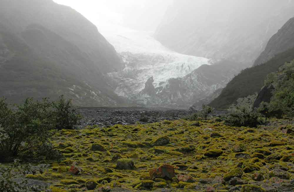 148 - Nueva Zelanda, glaciar Franz Josef